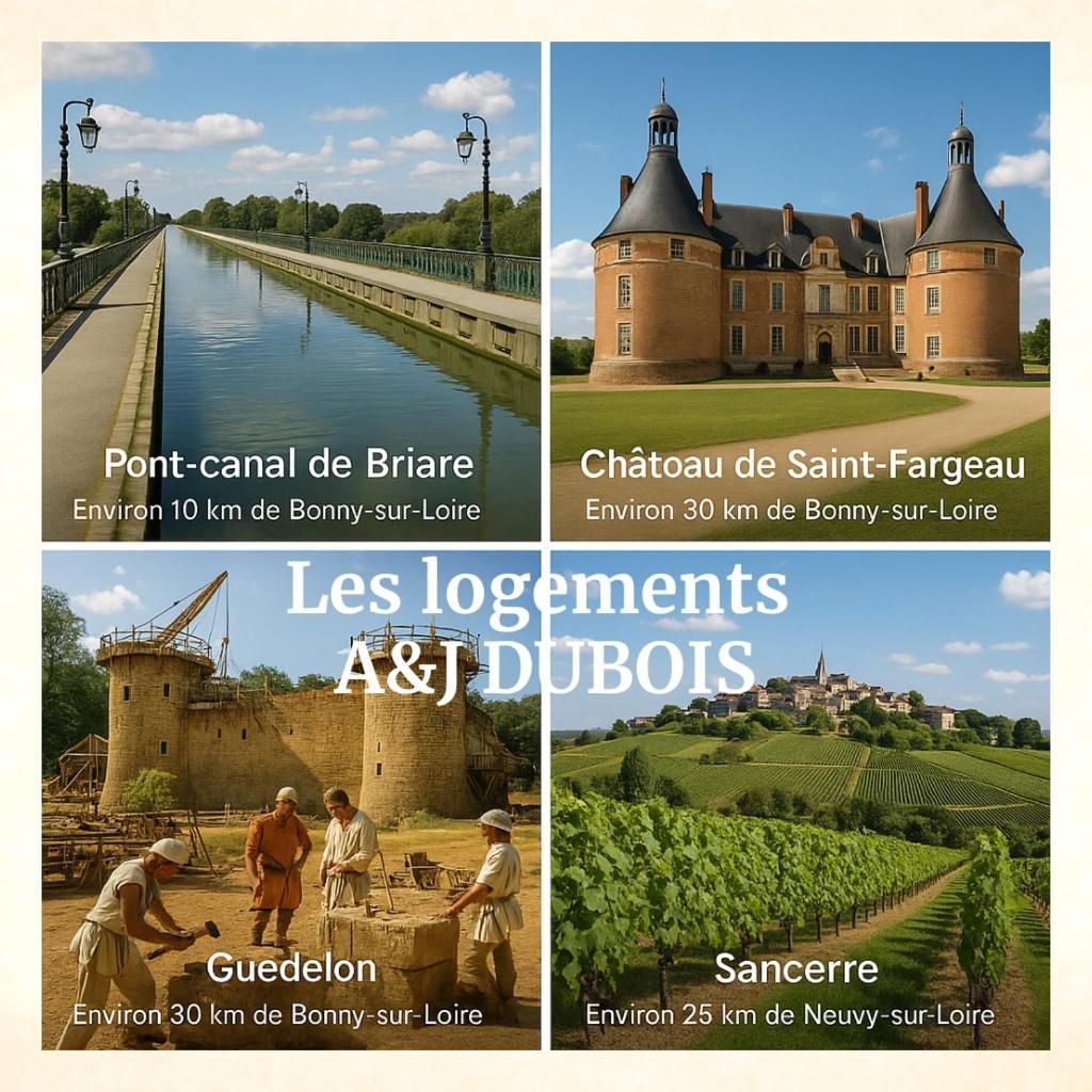 A&J Family - Neuvy Sur Loire - Guedelon别墅 外观 照片