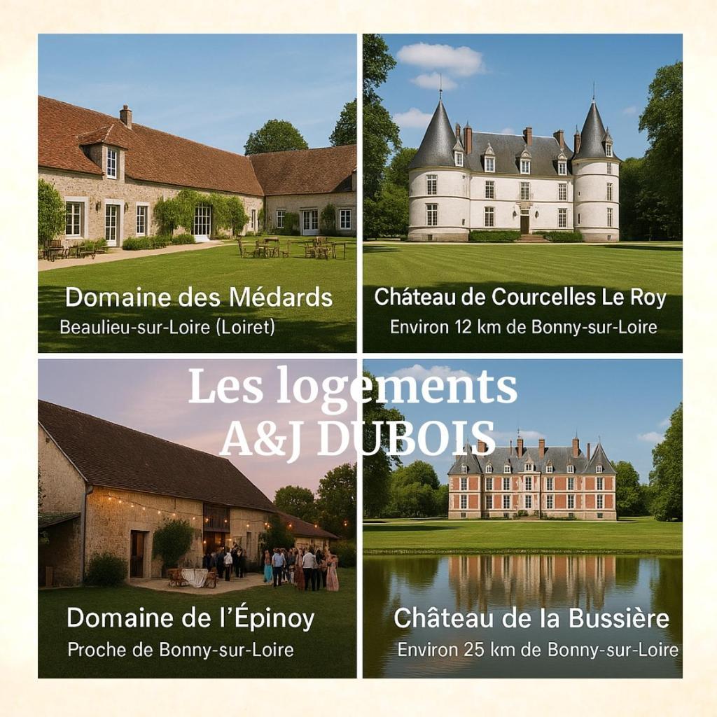 A&J Family - Neuvy Sur Loire - Guedelon别墅 外观 照片